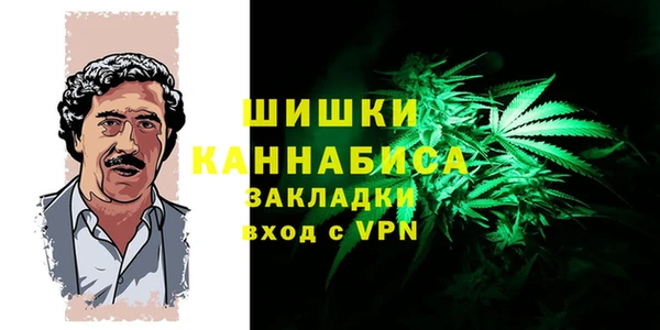 PSILOCYBIN Новодвинск