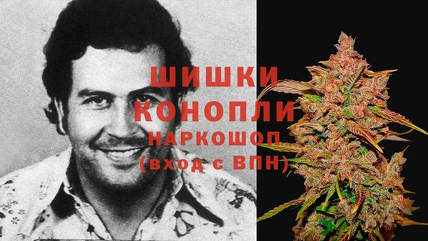 PSILOCYBIN Новодвинск