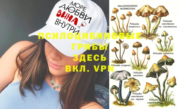 PSILOCYBIN Новодвинск