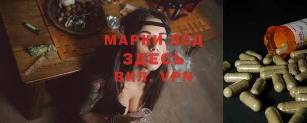 таблы Новокубанск