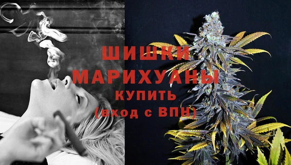 PSILOCYBIN Новодвинск