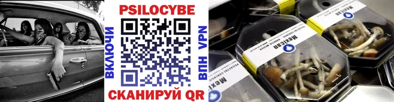 Псилоцибиновые грибы ЛСД  наркотики  ОМГ ОМГ вход  Ставрополь 