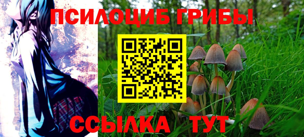 Галлюциногенные грибы мицелий Ставрополь