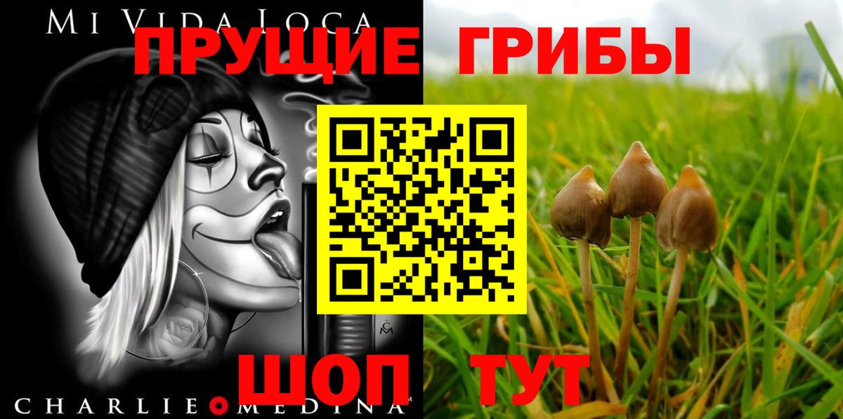 Ставрополь  как найти закладки  Вход с VPN  Псилоцибиновые грибы ЛСД 