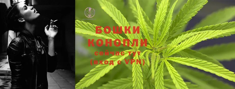 наркота  Ставрополь  Шишки марихуана THC 21% 